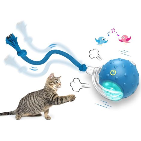 Balle interactive pour chats d'intérieur : roule rapidement sur la moquette, émet des gazouillis et s'active au mouvement (Bleu) (1/5)