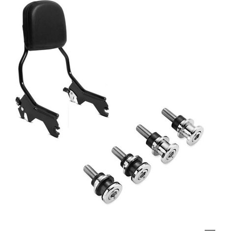 Set SissyBar + Kit di Installazione S42 (1/4)
