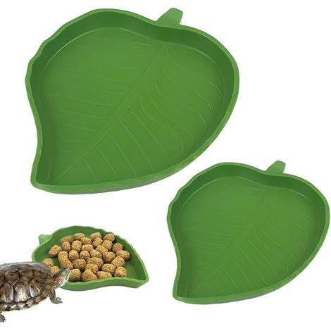 Terrarium Tortue Terrestre Bols Eau Nourriture, Gamelles Reptiles Vert Forme Mangue Aile Taille Grand Petit (1/5)