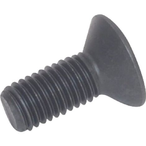 Tornillo ajuste F. M12X30 10.9 VICON KG00850761