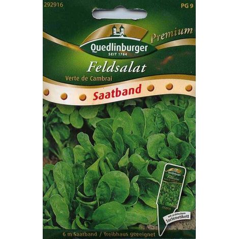 Quedlinburger Feldsalat Verte de Cambrai Saatband - Premium Gemüsesamen (1/2)