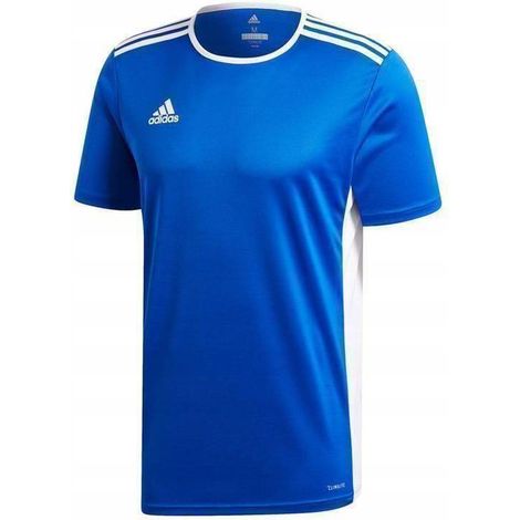 T-shirt Adidas Entrada CF1037 (1/2)