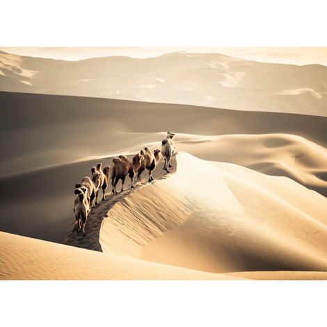 Tableau sur toile chameaux & dunes 100x140 cm - Impression sur Toile Murale Décorative - Image imprimée en HD sur Toile - Toile sur Châssis en Bois FSC - Fabriqué en France (1/5)