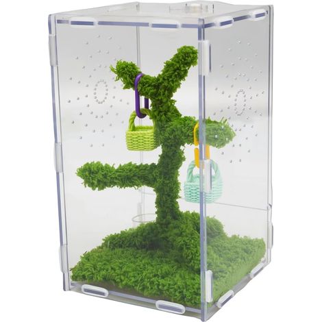 Kit Terrarium pour Araignées Sauteuses - Habitat Acrylique Ventilé 22x13x12 cm avec Pince Nourriture et Décor - Convient aux Reptiles et Petits Animaux Arboricoles (1/5)