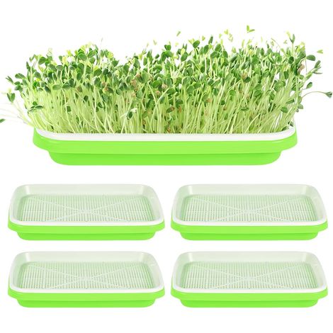 Juego de 5 bandejas para germinar brotes - Para germinar - Para el cultivo de frijol mungo y alfalfa - 32,5 x 24 x 4 cm (1/5)