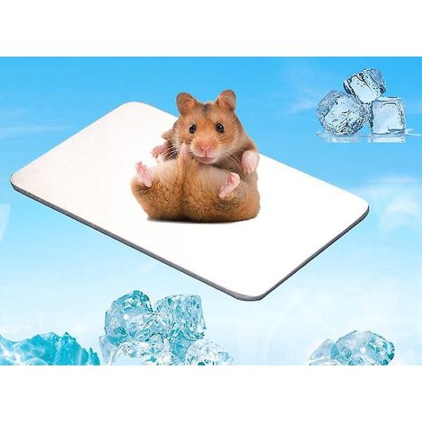 coussin Rfrigrant Pour Lapin (128cm), Coussin Rfrigrant Pour Lapins, Cochons D'inde, Gingembres, Hamsters Et Autres Petits Animaux, Pour Rester A (1/5)