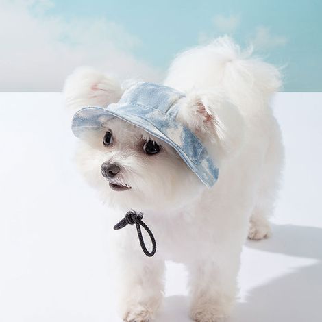 Casquette Soleil Pour Chien Et Chat - Casquette Pêcheur Respirante En Polyester - Pour Extérieur Printemps Été - 1 Pièce (1/5)