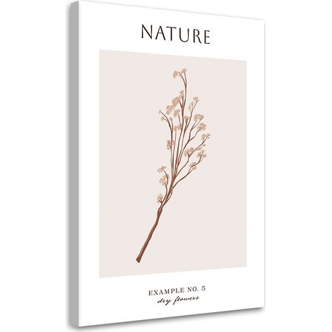 Tableau sur toile Fleur sèche - Nature 70x100 (1/5)