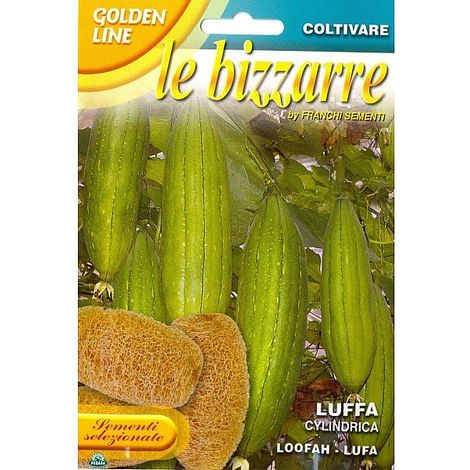 BUSTINA CON SEMI DI LUFFA CILINDRICA