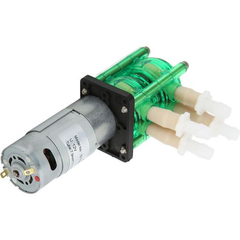 Pompe péristaltique à double tête, haut débit et résistante à la corrosion, pour le dosage de liquides, avec tube BPT, 700 ml/min, 12 V CC, 1200 mA (1/5)