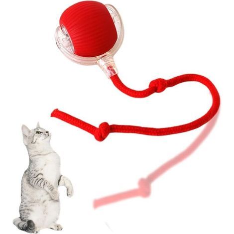 Balle interactive pour chat, jouet électrique à mouvement automatique pour chat, balle roulante pour exercice d'intérieur pour chat, rechargeable par USB (1/5)
