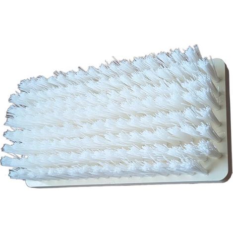 Brosse Blanche De Rechange Pour Eco One Ecodis France