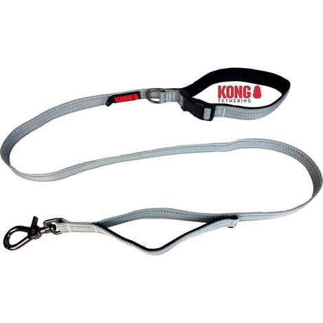 Laisse pour chien de 1,5 m de long - Pour chiens de taille moyenne jusqu'à 30 kg - Taille M - Laisse réfléchissante avec 2 poignées rembourrées et mousquetons robustes - Gris (1/5)