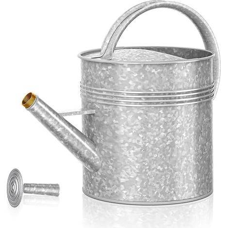 Arrosoir galvanisé de 10 l avec douchette amovible  En fer galvanisé, argenté, 2 fonctions d'eau, long bec verseur pour jardin et balcon (1/2)