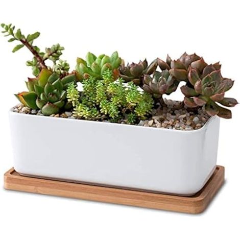Set di vasi rettangolari in ceramica bianca per piante grasse e cactus con sottovaso in bambù – piccolo vaso decorativo per fiori (1/5)
