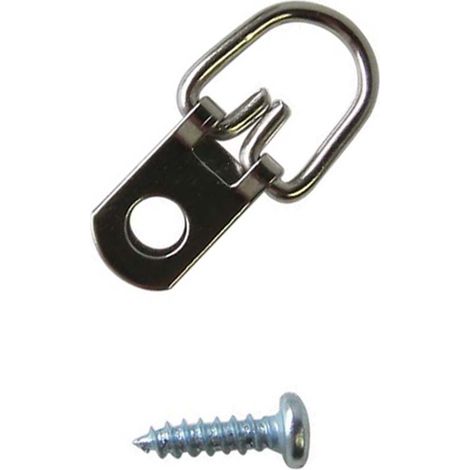 Anneau En D - 3 cm x 1,6 cm - Pour Cadres En Bois - Charge Maximale 4,5 kg - Lot De 100 Avec Vis Combinées N°6 X 1,3 Cm (1/5)