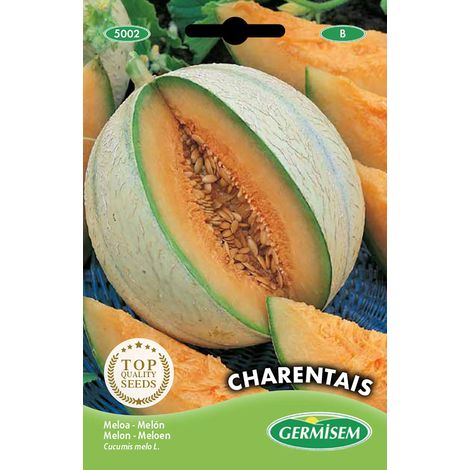 graines Melon CHARENTAIS