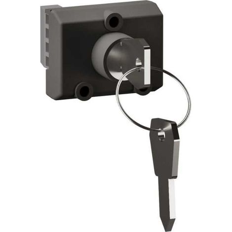 INTERRUPTEUR A CLEF POUR B.A.E.S. Céliane 2024 - CM0073 - Legrand