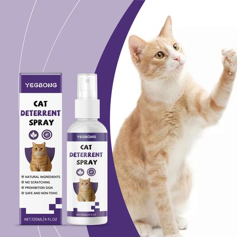 Katzenabwehrspray für Topfpflanzen im Innen- und Außenbereich, verhindert Kratzen und Unsauberkeit durch Katzen, geeignet für den täglichen Gebrauch im Haushalt – 120 ml -- DE (1/5)