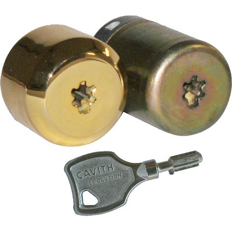 Cylindre de serrure CAVITH CAVERS A2P3 – Anti-perçage et anti-arrachement – 3 clés à pompes – Longueur 42mm intérieur 23,5mm
