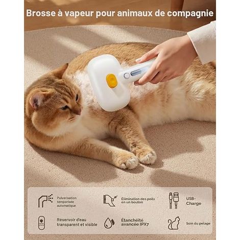 Cat Brush with Steam, 3 in 1 Multi-Function Undercoat and Tangle Brush, 3 Modes Spray (1/4)