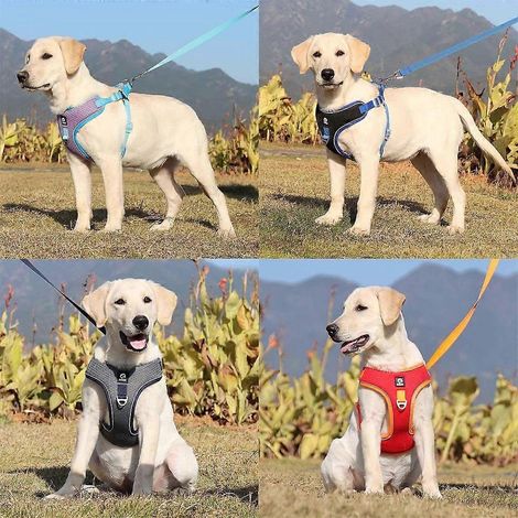 Harnais pour chien et chat, harnais de poitrine en corde réfléchissante, type gilet, taille S, noir (1/4)