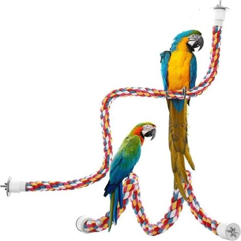 Morceau de corde à grimper pour perroquet, jouet pour perroquets, perchoirs, corde en coton colorée, balançoire, jouet pour oiseaux, perroquets, perroquets gris, perruches (1/5)
