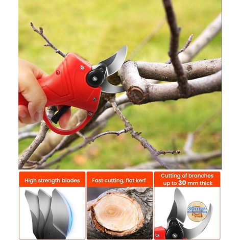 Sécateur Électrique Sans Fil, 30MM Secateur Electrique 4000mAh SK5 Lames Batteries, Verrouillage de Sécurité, Sécateur de Jardin pour La Taille et Les Arbres Fruitiers (1/2)