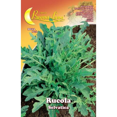 Semi orto rucola selvatica - 10 pz