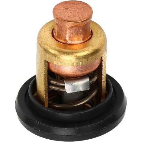 Thermostat marin haute précision compatible avec les moteurs hors-bord 2 temps de 15 à 220 CV (1/5)