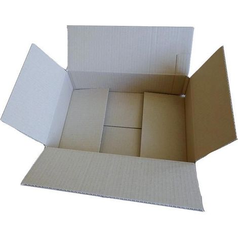 Carton d'emballage 31 x 21 x 7,5 cm