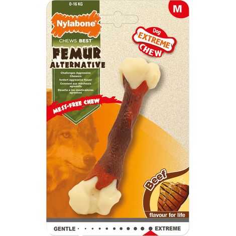 Extreme Chew Femur Nylabone