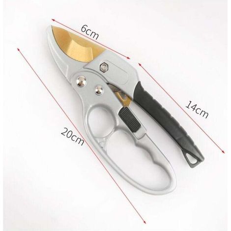 CPSARKV Sécateur Jardin Titane à Crémaillère - Poignée Ergonomique Antidérapant et Sécurisé - 20 cm - Gris (1/2)