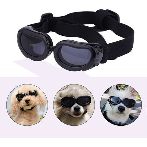 Lunettes de protection pour petit chien, étanches, anti-vent, anti-UV, adaptées aux chiots et petits chiens