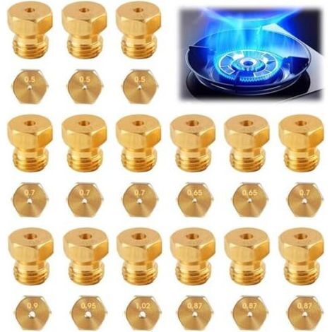 15 Pezzi in Getto di Gas Butano Universale Kit di Iniettori per la Conversione a GPL, Propano, Forno e piano Cottura, bombola del Gas, Bruciatore 0.5-0.65-0.7-0.80-0.87-0.90-0.95-1.02 mm (1/5)