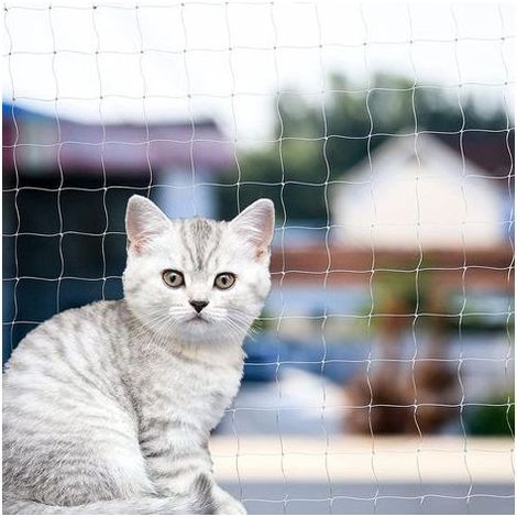 (10 x 26 pieds (3 x 8 mètres))Filet de balcon pour chat, filet de clôture anti-chute pour chat, filet de clôture pour chien, filet de clôture en nylon transparent pour animaux de compagnie (1/4)