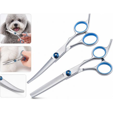 1 Pièce Ciseaux de Toilettage Bleu et Argent en Acier Inoxydable pour Chien, Dimensions 17×3 cm, Ciseaux à Courbe pour Coupe des Poils (1/5)