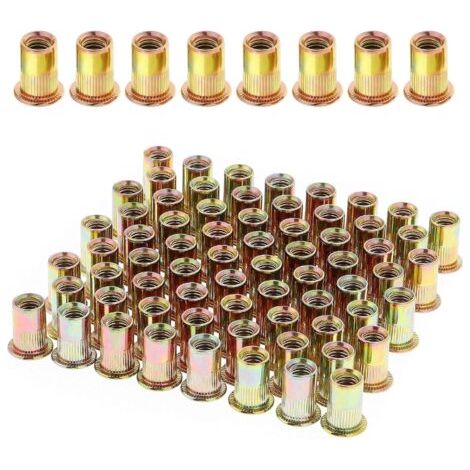 100 Pièces Écrou à Rivet M6 Fileté à Tête Plate, Écrous à Riveter Fileter en Acier au Carbone Zingué, Assortiment M6 Rivet Inserts Filetés pour Métal Plastique (12 mm x 15 mm) (1/5)