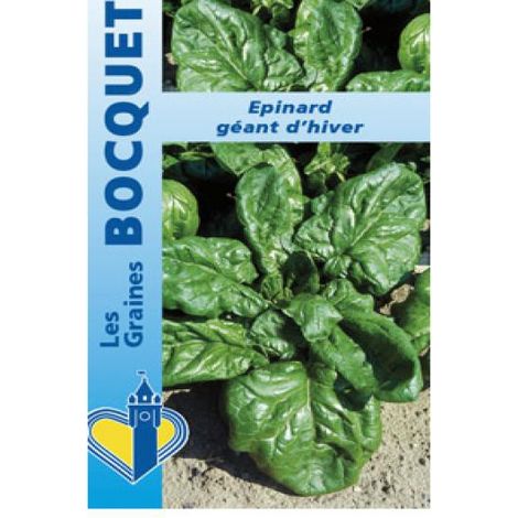 Epinard 'Géant d'hiver' le sachet de 1000 graines (15g) (1/2)