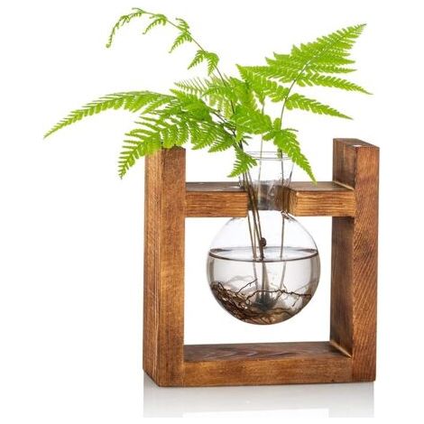 Vase En Verre De Gland Pour Fleurs Terrarium Pot Planteur Avec Support De Support En Bois