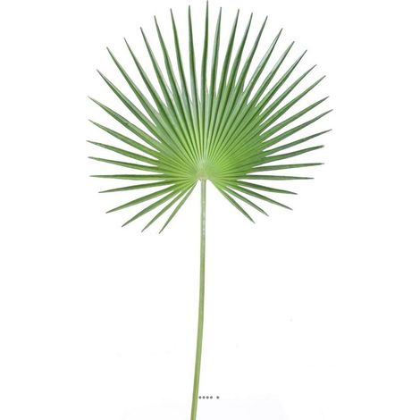 Feuille palmier Chamaerops artificielle H 120 cm D 60 cm polyurethane