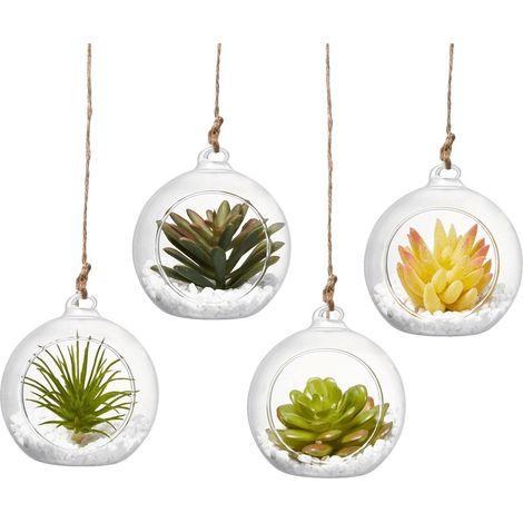 Terrarium en verre à suspendre (10,2 cm avec cordes) (1/5)