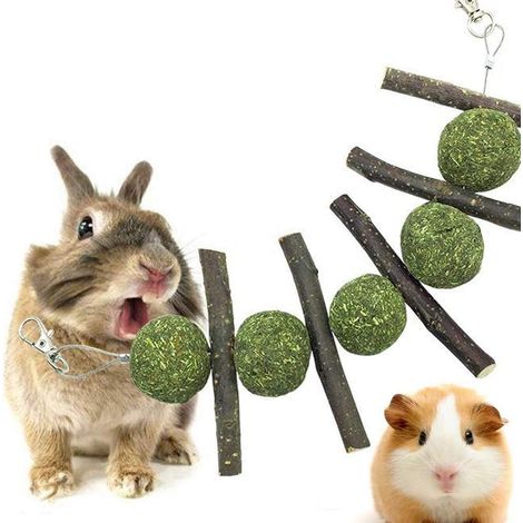 Bâtonnets De Pommier - Jouet À Ronger Pour Lapins Chinchillas Cobayes Et Rongeurs - 3 Pièces Avec Anneau Métallique (1/5)