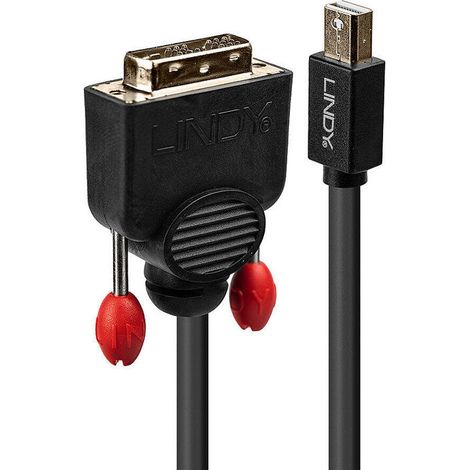 Adaptador Mini DisplayPort a DVI LINDY 41952 2 m Negro (1/2)