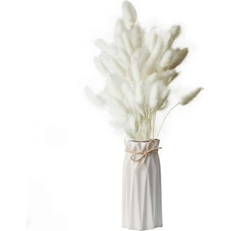 60pcs Bunny Tails Herbe Naturel Séché Pampa Herbe Décor Bouquet de fleurs artificielles Boho Home Decor D (1/5)
