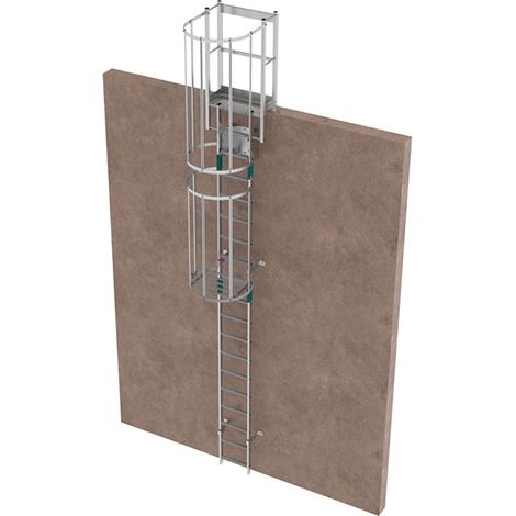 Echelle à crinoline avec trappe - Hauteur à franchir de 3,46 à 4,3m - CRINO-SF/003-7871