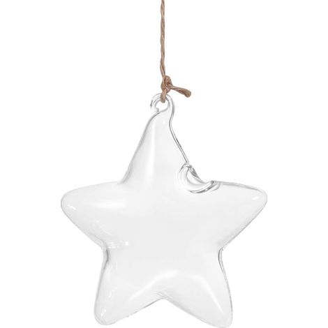 Pot de fleurs suspendu en verre transparent forme d'étoile mer (1/5)