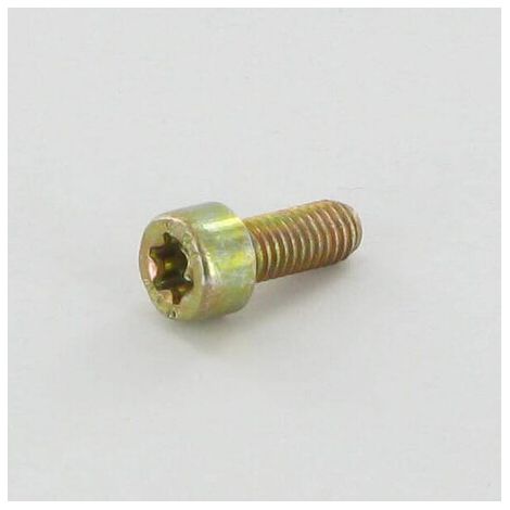 Tornillo TX M5x12 ALPINA ALP2135180