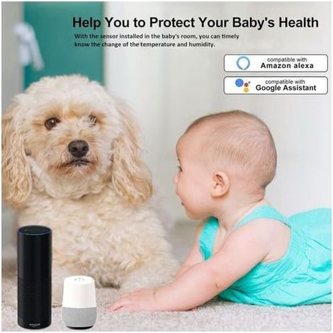 Kit de 4 capteurs sans fil Wi-Fi de température et d’humidité – Affichage en temps réel via l’appli Tuya – Alertes push personnalisables – Design compact idéal pour espaces restreints (salles de bain, (1/5)