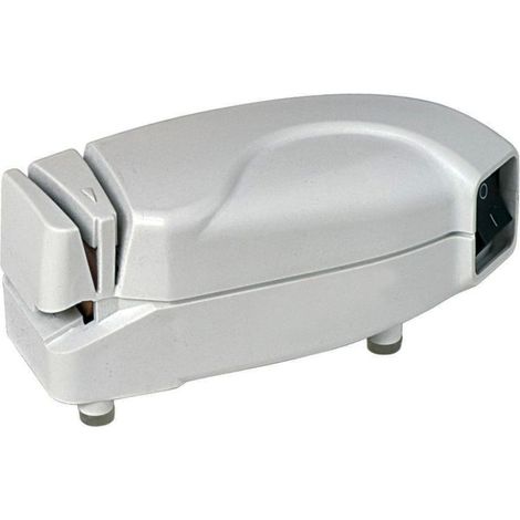 AFFILATRICE ELETTRICA 40 W (1/3)